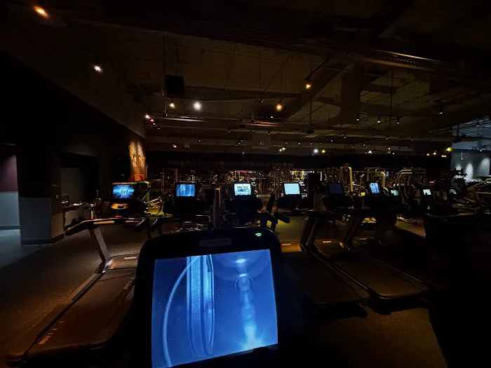 THE GYM Ontario Picture 5