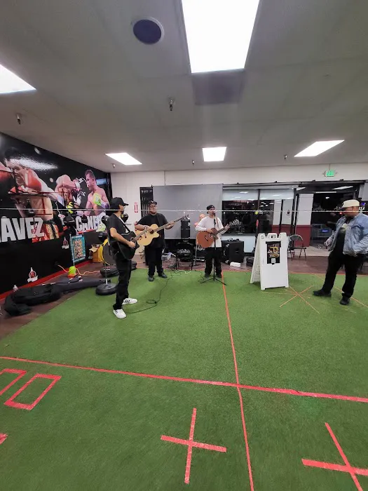 Transformed Boxing Picture 7