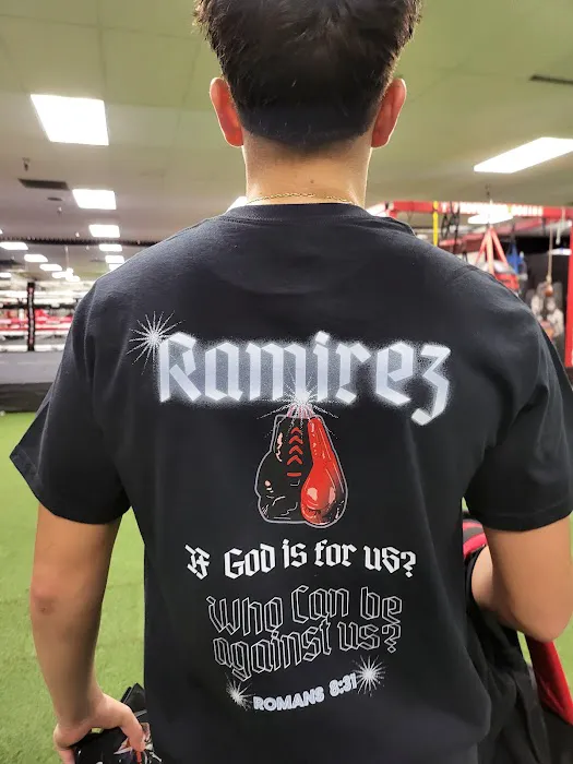 Transformed Boxing Picture 8