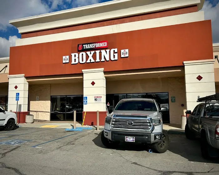 Transformed Boxing Picture 1