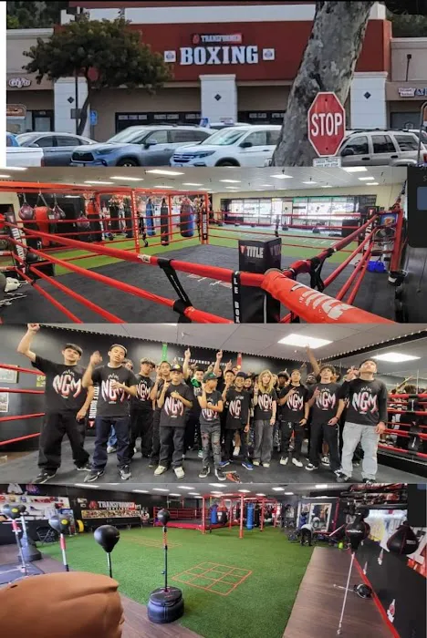 Transformed Boxing Picture 3