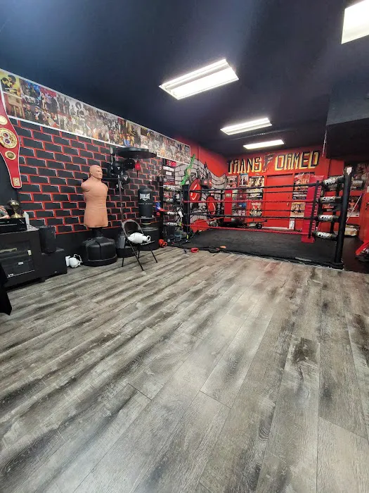 Transformed Boxing Picture 4