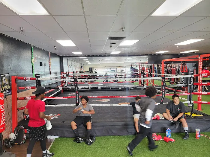 Transformed Boxing Picture 5