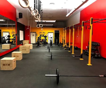 APE ARENA