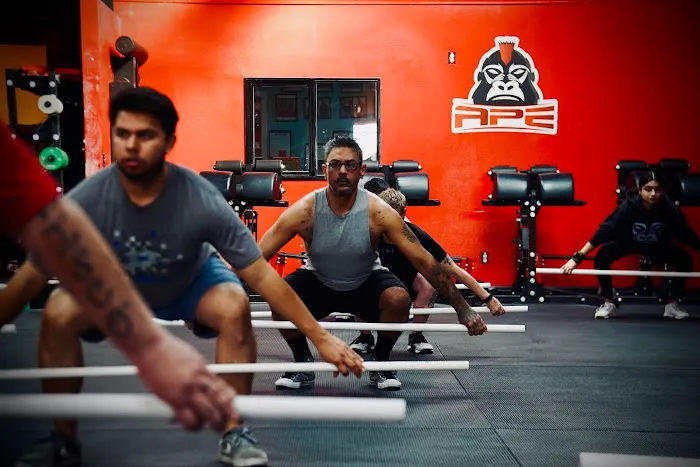 APE ARENA Picture 10