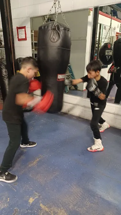 The Ultimate Warriors Boxing Academy Picture 3