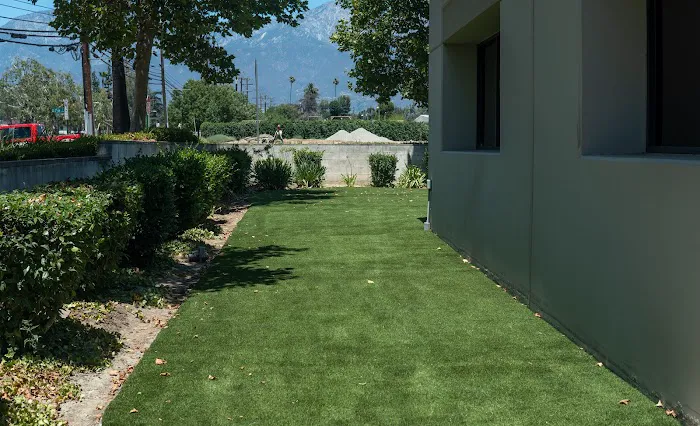 Fit Fast Transformation Picture 4