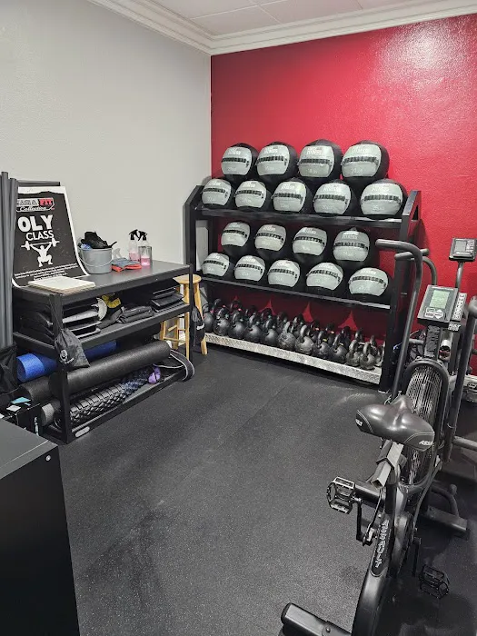 Saga-Fit Collective Picture 7