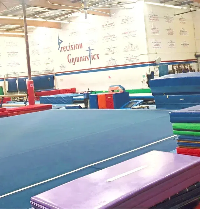 Precision Gymnastics Picture 10