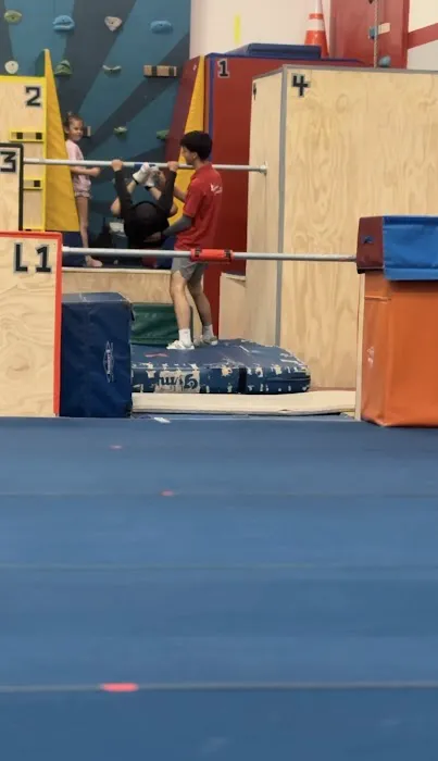 Precision Gymnastics Picture 2