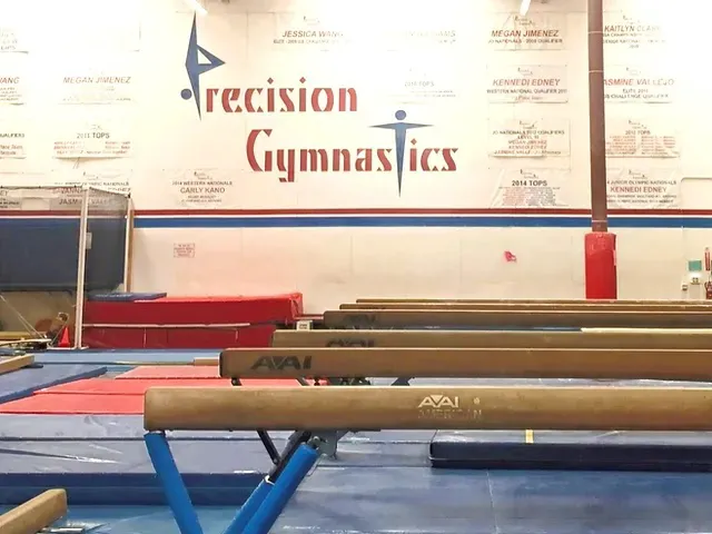 Precision Gymnastics Picture 9