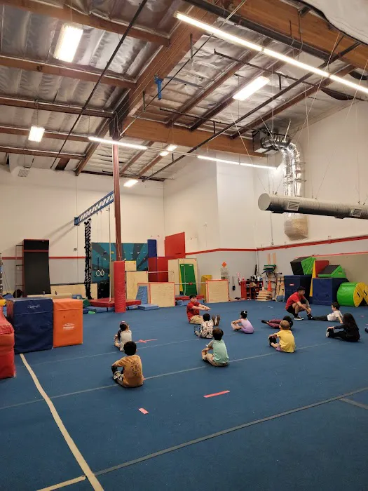 Precision Gymnastics Picture 1