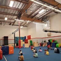 Precision Gymnastics ico