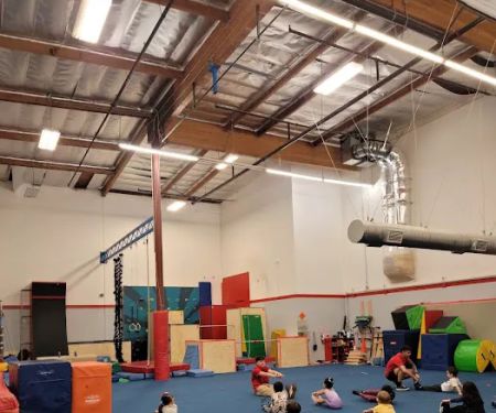 Precision Gymnastics