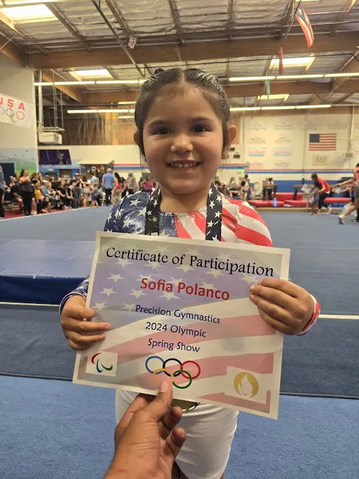 Precision Gymnastics Picture 7