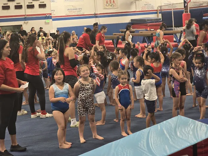 Precision Gymnastics Picture 5