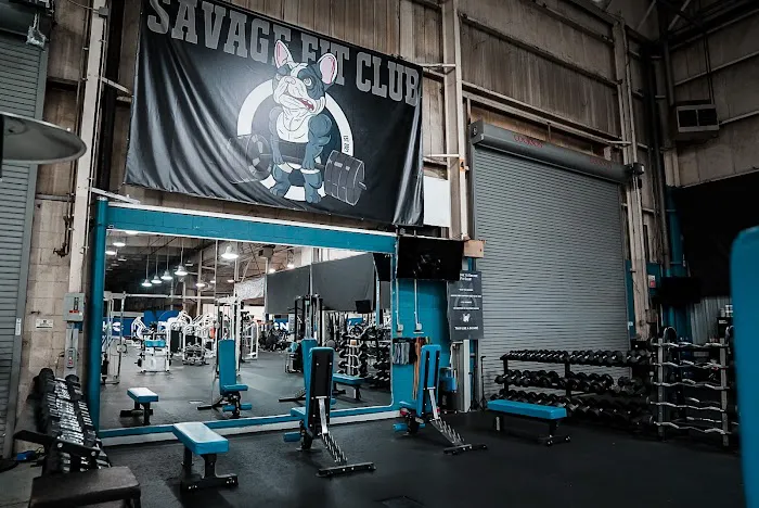 Savage Fit Club Picture 10