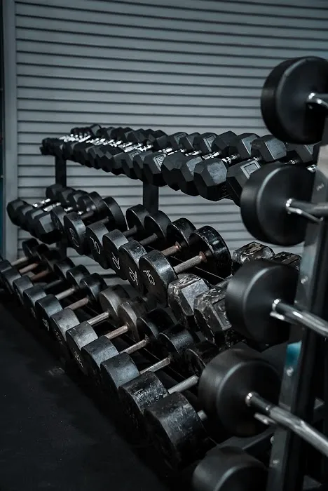 Savage Fit Club Picture 2