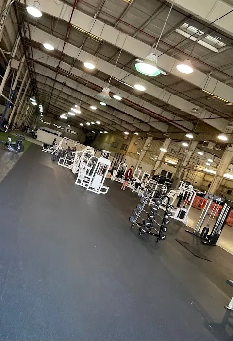 Savage Fit Club Picture 1