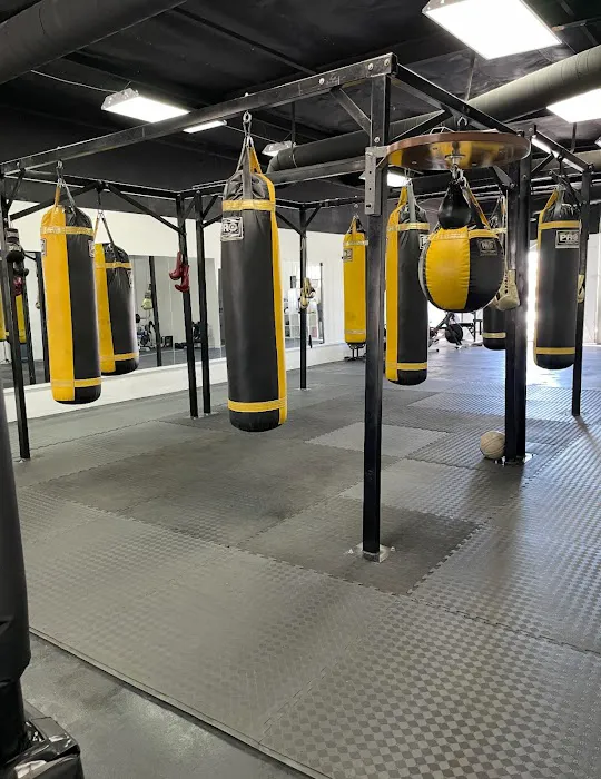 Muscles and Knuckles Picture 10