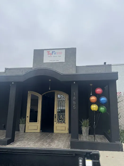 TigFit 100 Picture 4