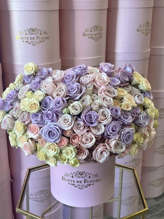 The Wellness of OZ Picture 4