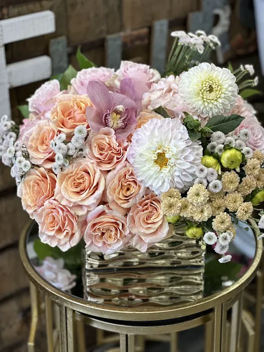 The Wellness of OZ Picture 3