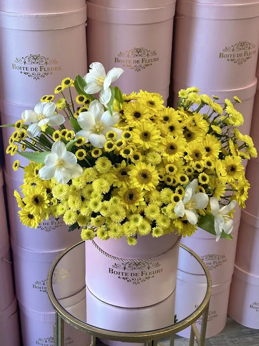 The Wellness of OZ Picture 5