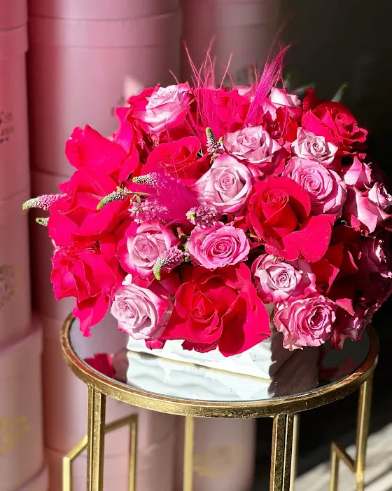 The Wellness of OZ Picture 6