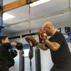 All World Boxing Club Picture 2