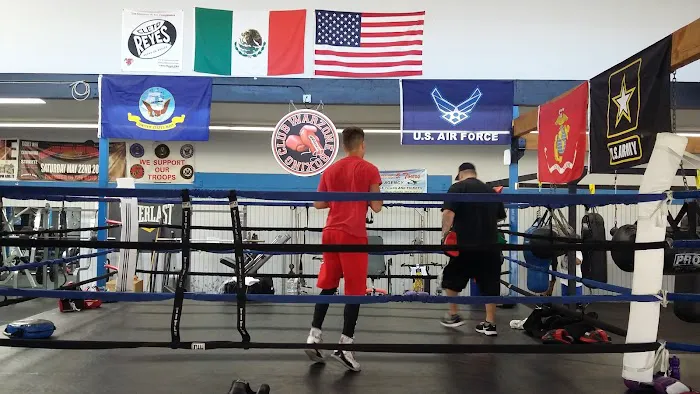 All World Boxing Club Picture 9