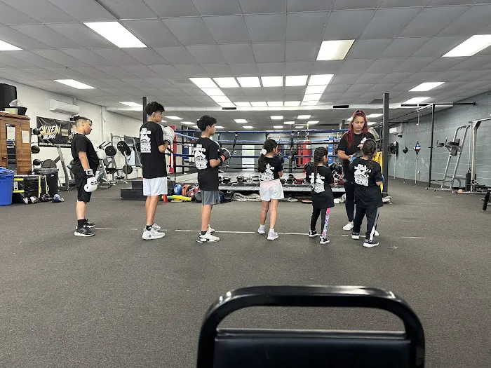 All World Boxing Club Picture 10