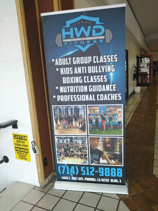 HWD Fitness Chino Picture 6