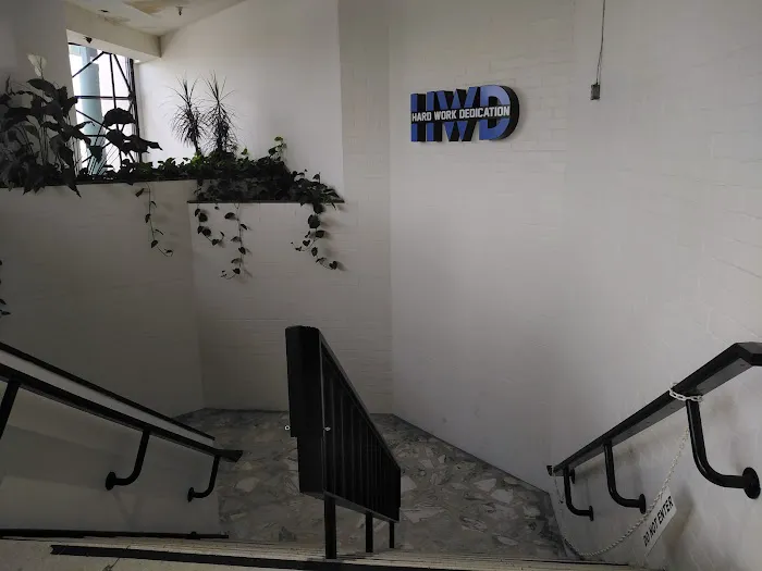 HWD Fitness Chino Picture 8