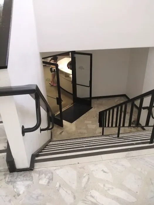 HWD Fitness Chino Picture 5