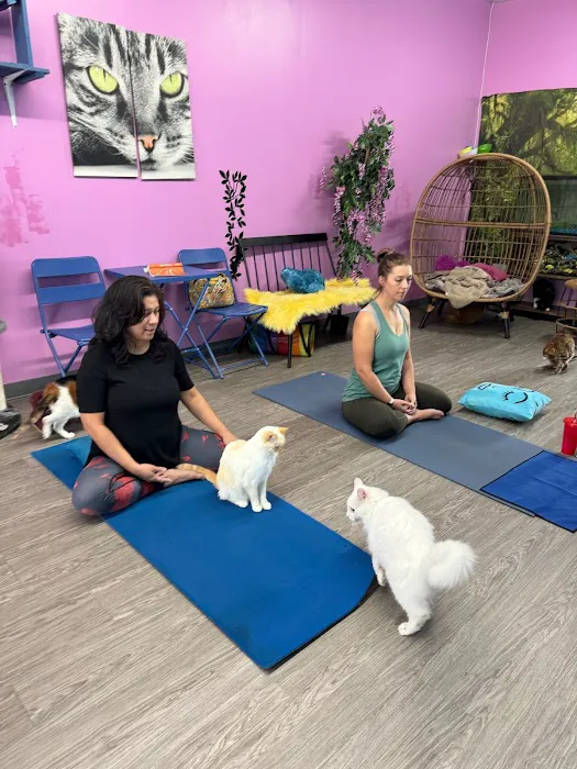 Yoga with Grace Picture 2