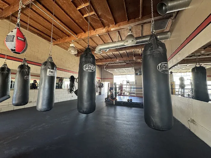 Adams Bootcamp Boxing Picture 1