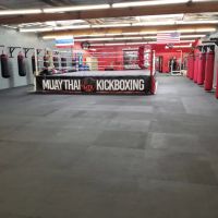 Muay Thai Kickboxing Gym ico