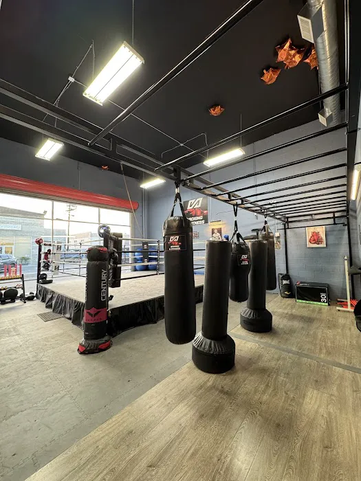 VA Boxing & Fitness Picture 1