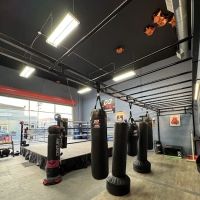 VA Boxing & Fitness ico