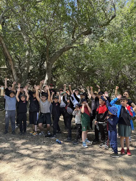 VA Boxing & Fitness Picture 6