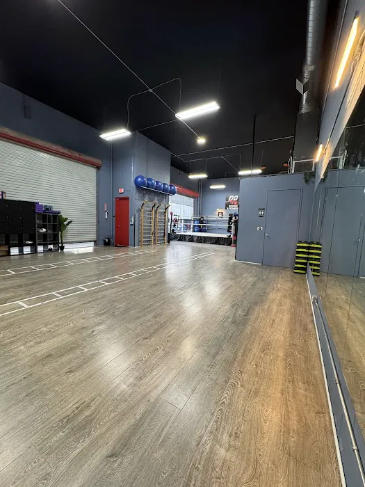 VA Boxing & Fitness Picture 7