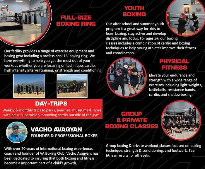 VA Boxing & Fitness Picture 5