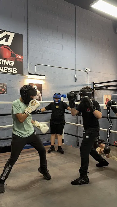 VA Boxing & Fitness Picture 9