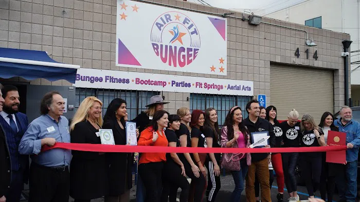 Air Fit Bungee Picture 2