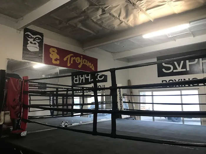 Superb Boxing Picture 8