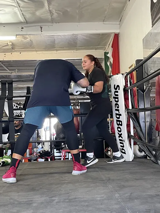 Superb Boxing Picture 3