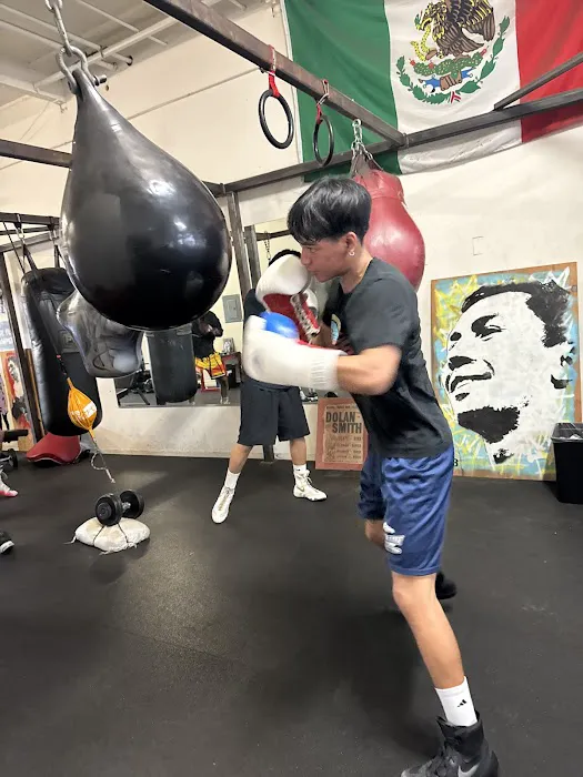 Superb Boxing Picture 9