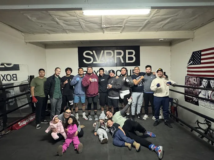 Superb Boxing Picture 6