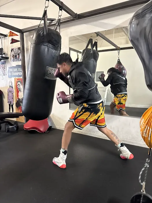 Superb Boxing Picture 4